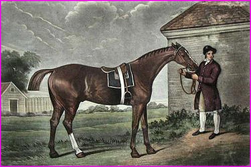 The champion 18th Century stallion Eclipse is an example of evolutionary power, having contributed to the pedigree of approximately 95% of equine thoroughbreds today.
